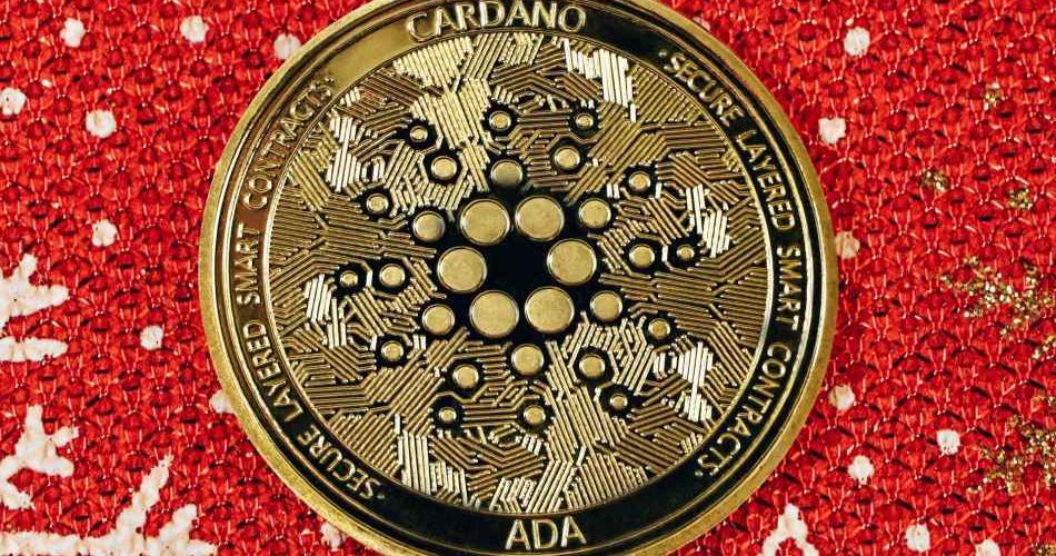 cardano